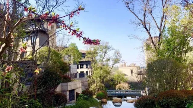 3                      名门半山溪谷联排别墅