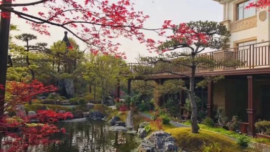 直播封面
