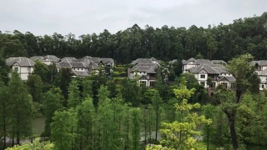 直播封面