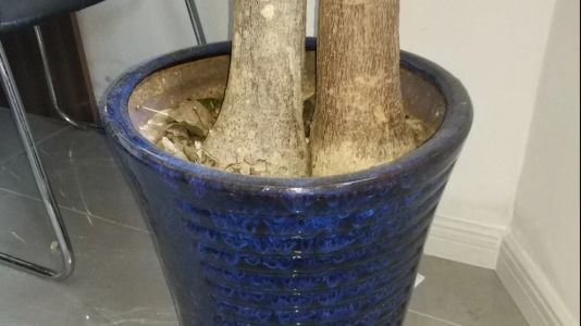 直播封面