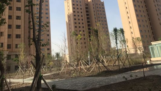 直播封面