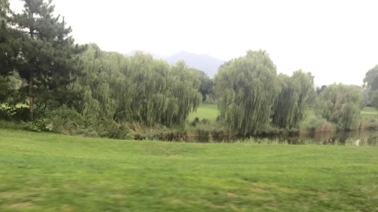 直播封面