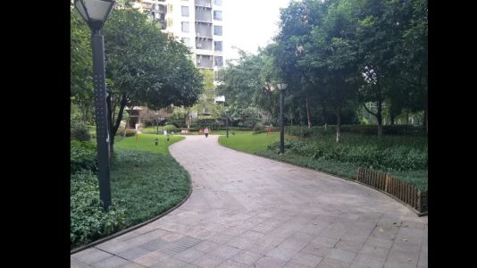 直播封面