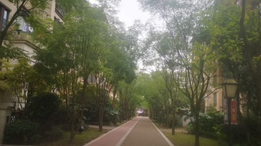 直播封面