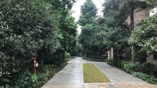 直播封面
