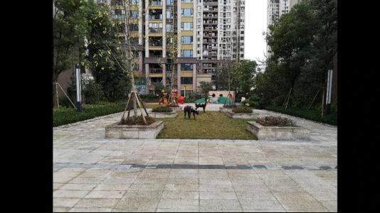 直播封面