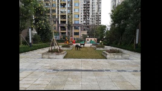 直播封面