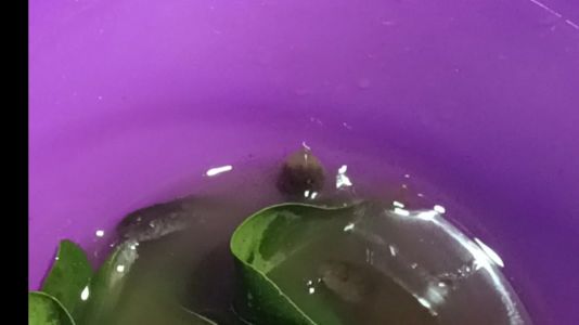 直播封面