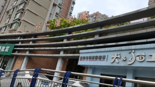 直播封面