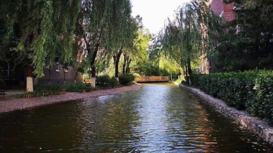 直播封面
