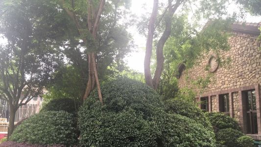 直播封面