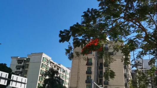 直播封面