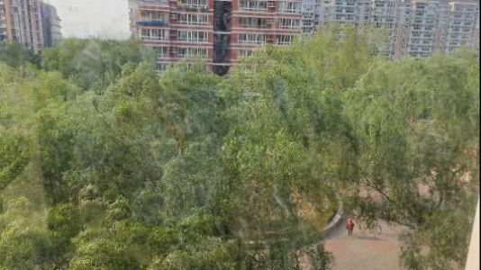 直播封面
