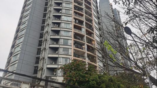 直播封面