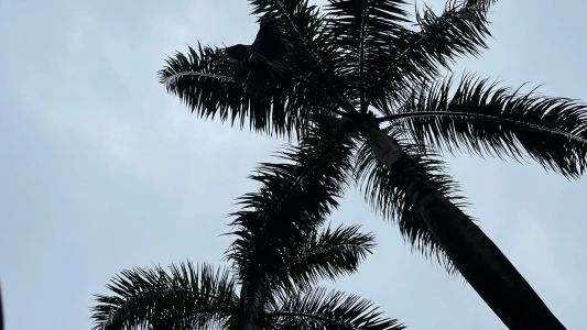 直播封面