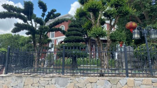 直播封面