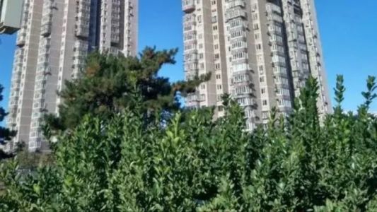 直播封面