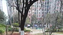 直播封面