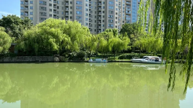 上海仁恒河滨城二期小区 二手房 租房 上海房天下