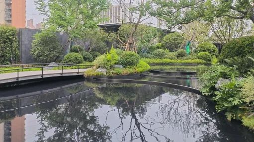 直播封面