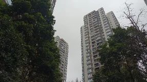 直播封面