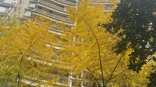 直播封面