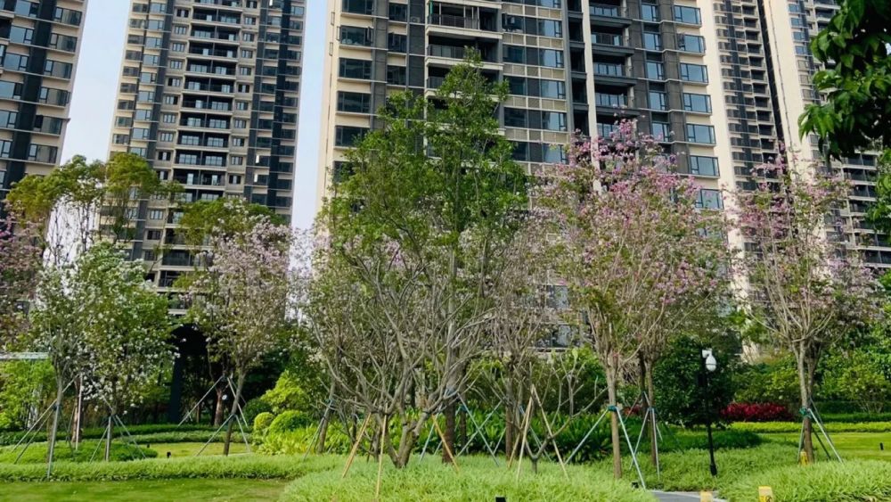 次新小区 正规2房 总价低 老证税少,武汉江岸百步亭丹亭懿府二手房 两