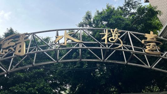 直播封面