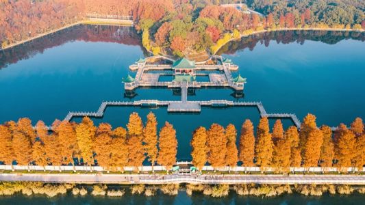 直播封面
