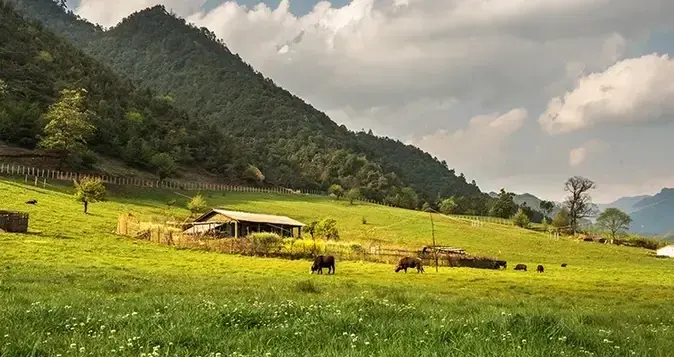 雅居乐原乡丨山谷里的稻，也是生活之道