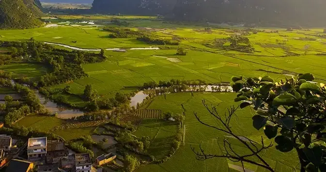 雅居乐原乡丨山谷里的稻，也是生活之道