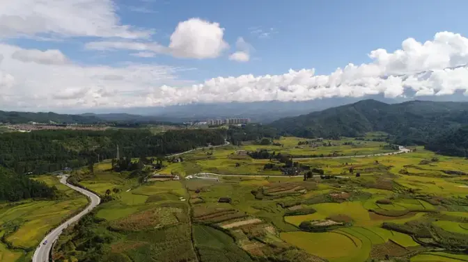 雅居乐原乡丨山谷里的稻，也是生活之道