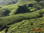 9.3土拍播报：推地数量增多，价格仍无起色