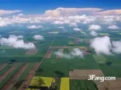 置地、首创28.9亿分食上海华漕镇2宗宅地，最高楼面价31289元/㎡