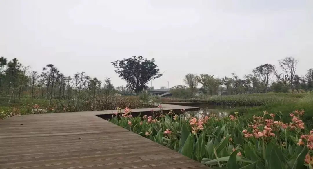 ����