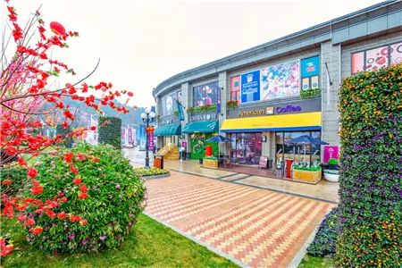 ����6�ڡ�����֮��حС���ݵĲƸ��������Լ۱�����ȫ��׷��