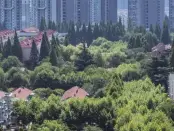 上周重点城市推盘放量显著 部分项目去化效果较好
