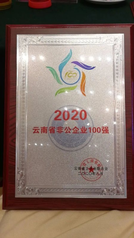 大理佳利集团荣膺2020非公企业100强！