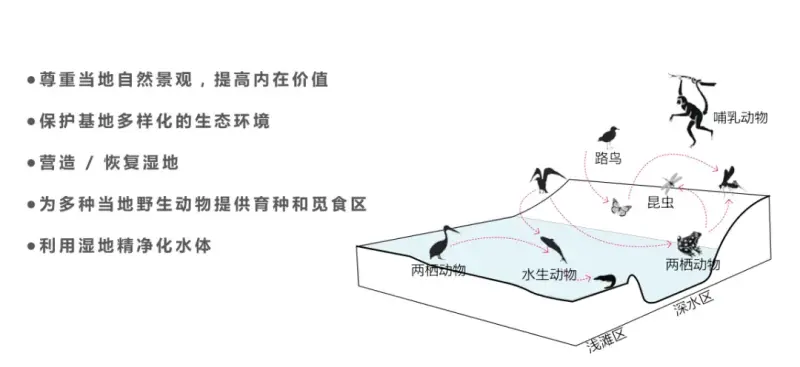 大理除了洱海，还有什么？