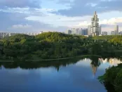 中国市场监管体系大转型 不该管的放权市场