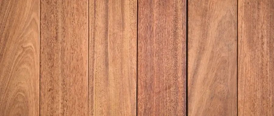900x383c(5).jpg