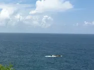 �����������޹���������������������ʲô��