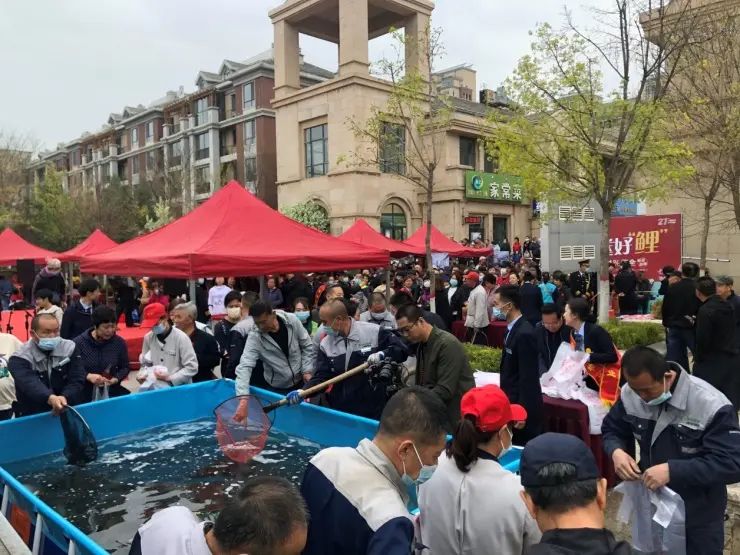 �����������׸����ڣ�7����������