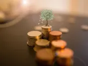 央行将外汇存款准备金率调升至7% 专家：核心是希望减缓人民币过快升值的压力