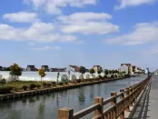 打造“开路先锋”　浦东多领域改革开放政策加速落地