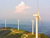 国家能源局：上半年能源需求持续高涨