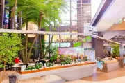 社区商业的创新范本，时代中国首个社区精品MALL时代·芳华里亮相 