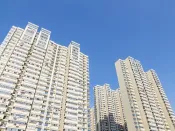 中指快评：青岛第二批次集中出让100宗地拍卖活动因故“终止”，后续土拍或将进行调整