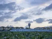 乡村消费迎政策力挺 十万亿级市场可期