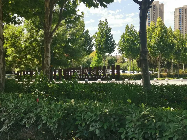 中旅名门府